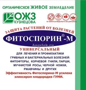 Средство защиты растений Фитоспорин-М 10гр