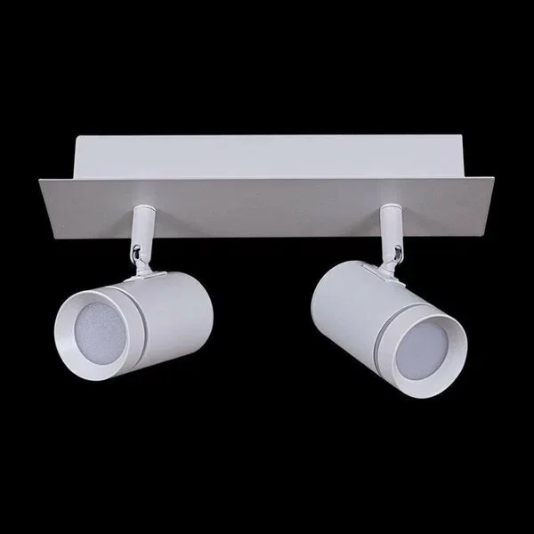 Светильник точечный светодиодный поворотный ГУСЬ-84281-9.5-002RT LED2*5W WT+SN