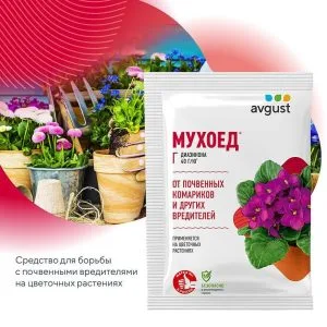 Мухоед AVGUST 10гр